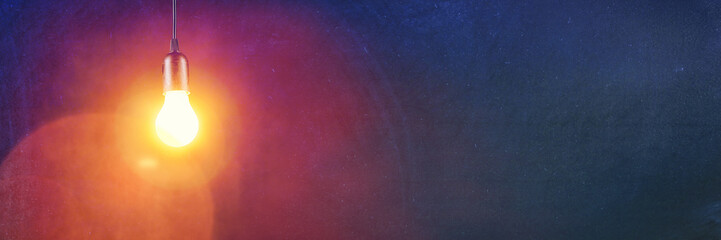 适合冬天种植的植物种类-