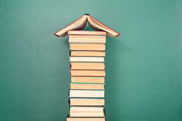 学生会团日活动策划方案