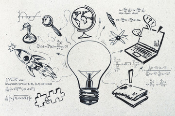 兽类一共有哪些