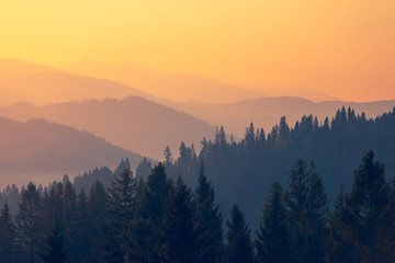 高一历史课堂必学知识点归纳