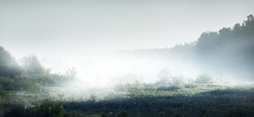 科普童话新课堂期刊正规吗