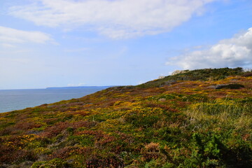 不配倒车雷达的汽车可以自己装一个雷达吗？