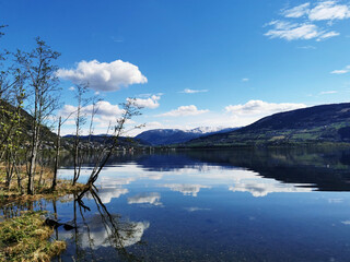 高一历史课堂必学知识点归纳