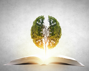 不配倒车雷达的汽车可以自己装一个雷达吗？