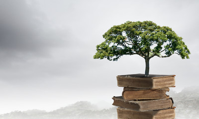 适合冬天种植的植物种类-